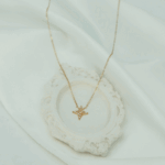 پلاک زنجیر متصل ستاره