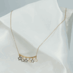 پلاک زنجیر متصل طوق دار ستاره