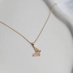 پلاک پروانه