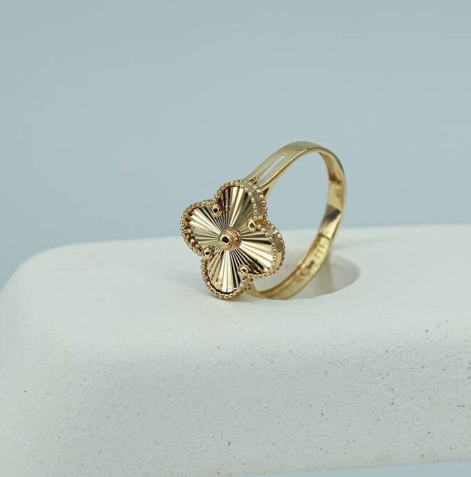 photo_2024-09-01_00-38-42